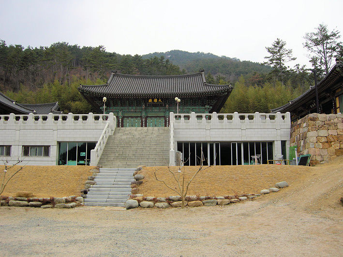 김해 백두산 육형제 소나무 1