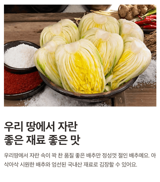 홈플러스 절임배추 가격 사전예약