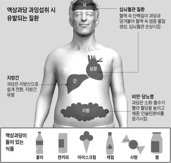 액상과당 과다섭취 시 유발되는 질환