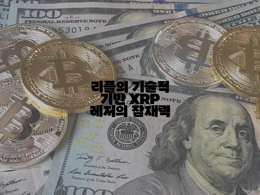 리플의 기술적 기반 XRP 레저의 잠재력