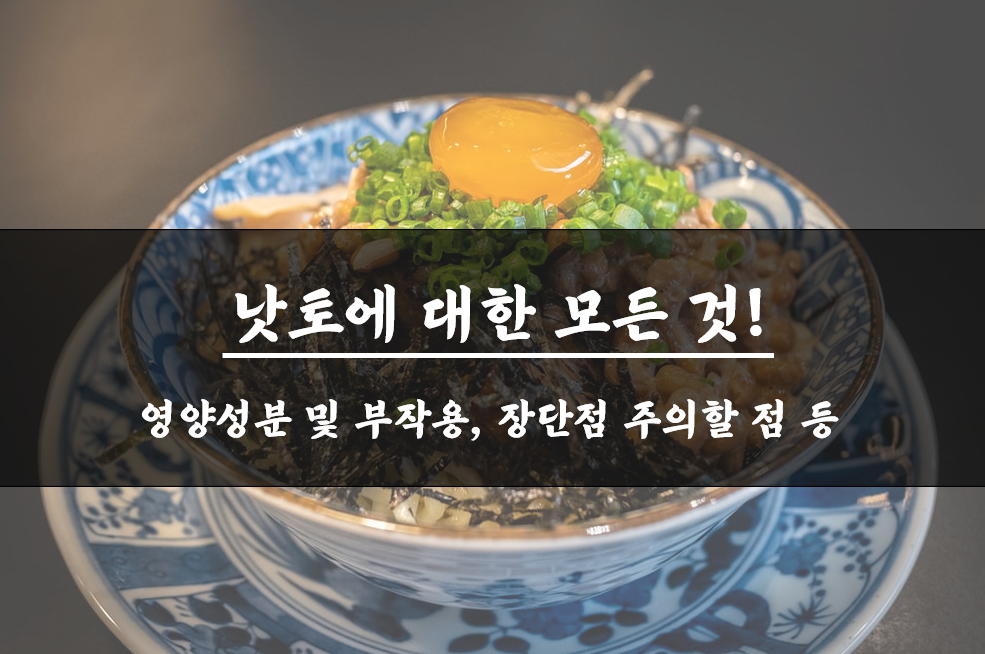  낫토 영양성분 및 부작용 주의할 점 낫토 다이어트