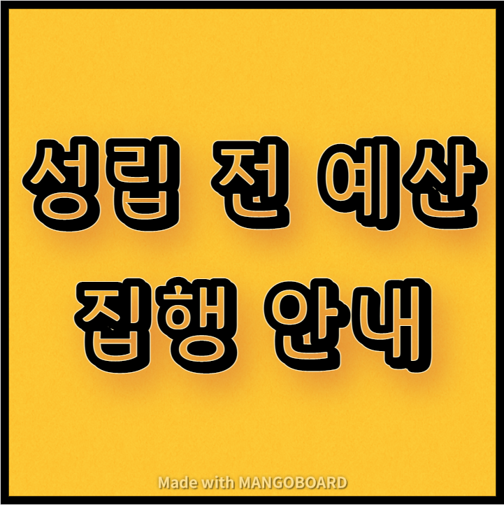  성립 전 예산 및 집행 안내