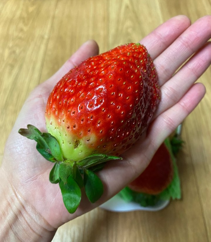  킹스베리 딸기 톡딜할인