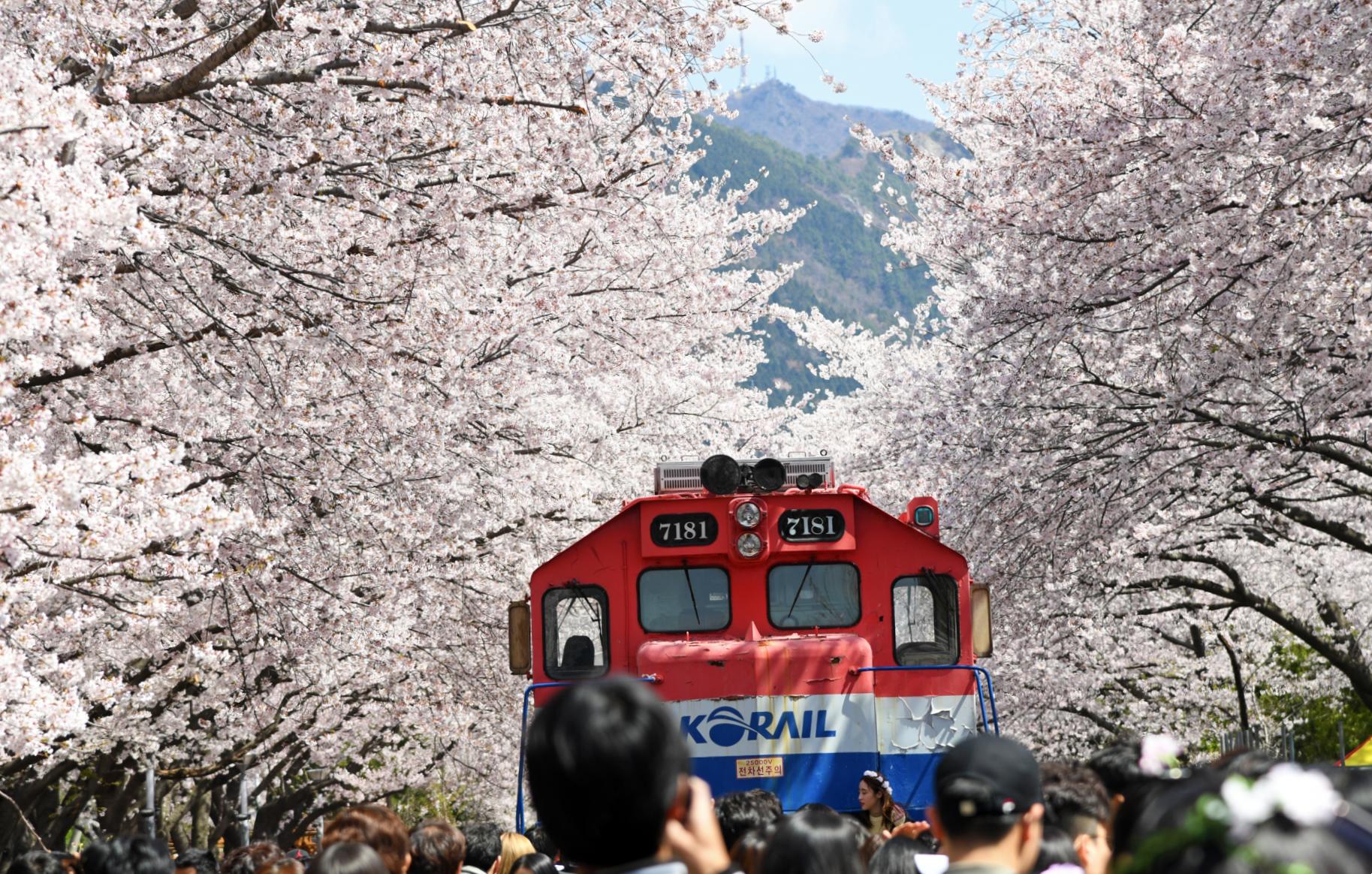 경화역
