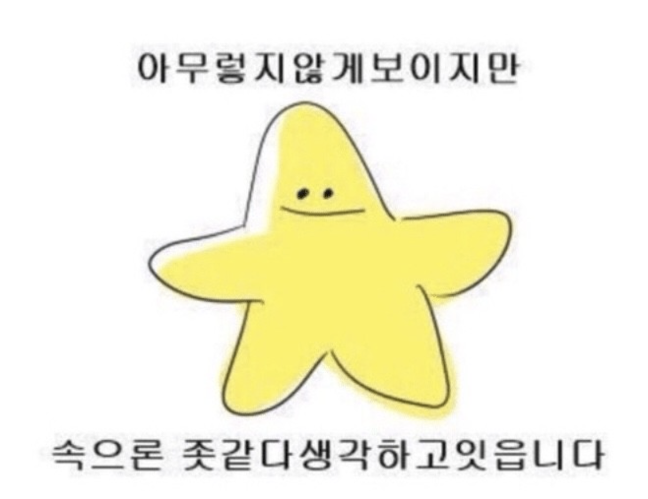  [INFP] 짤talk : 인프피는 다 알고 있다