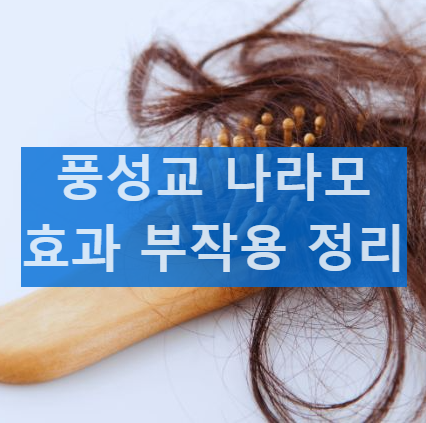 풍성교 나라모 성분 및 효과&#44; 부작용 후기