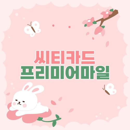 씨티카드 프리미어마일