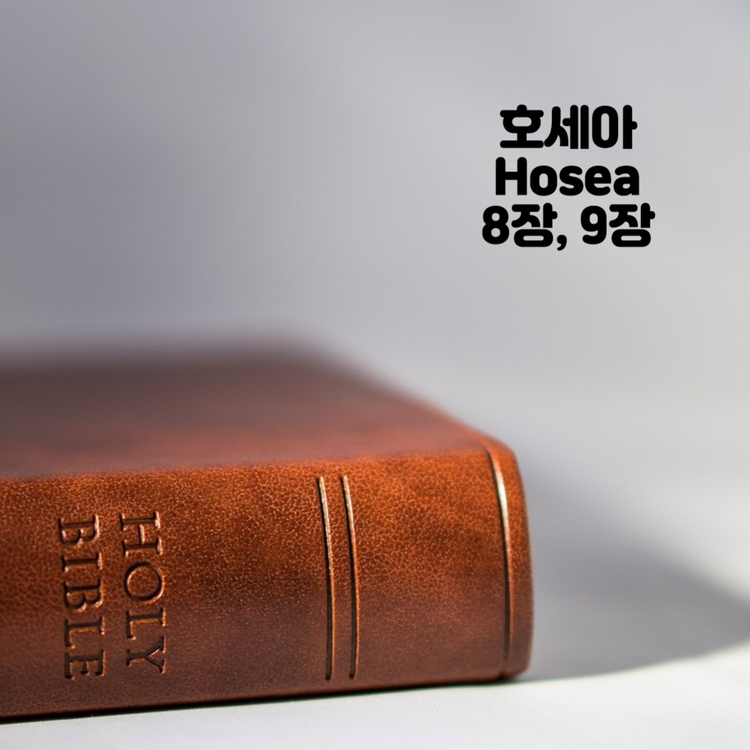 Holy BIBLE 생명의 삶 영어 한글 성경 말씀 - 호세아(Hosea) 8장&#44; 9장