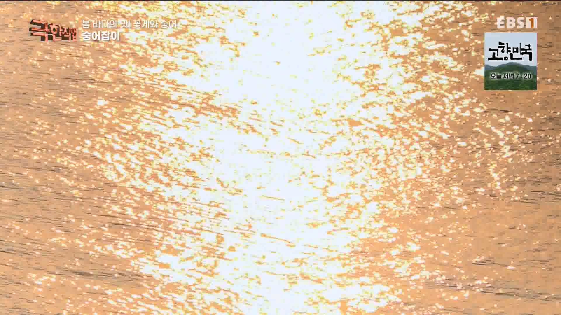 극한 직업 꽃게와 숭어 1080p.mp4_20230530_194649.405.jpg