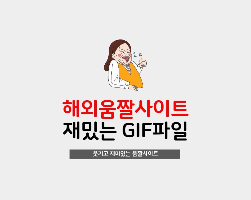  재미있는 움짤 해외움짤 GIF 사이트