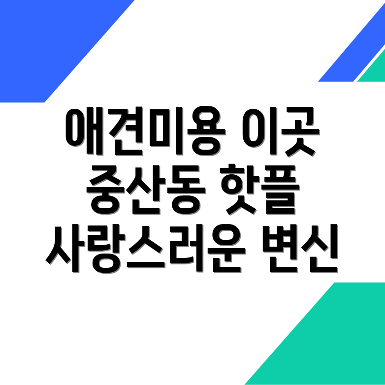애견미용실