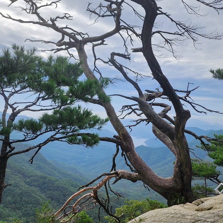 오봉산풍경