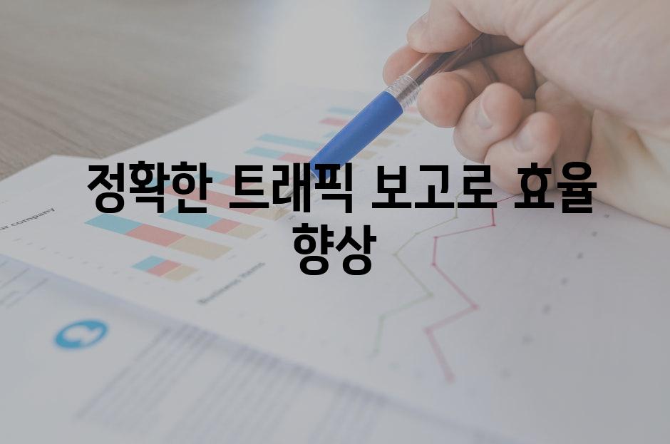 * 정확한 트래픽 보고로 효율 향상