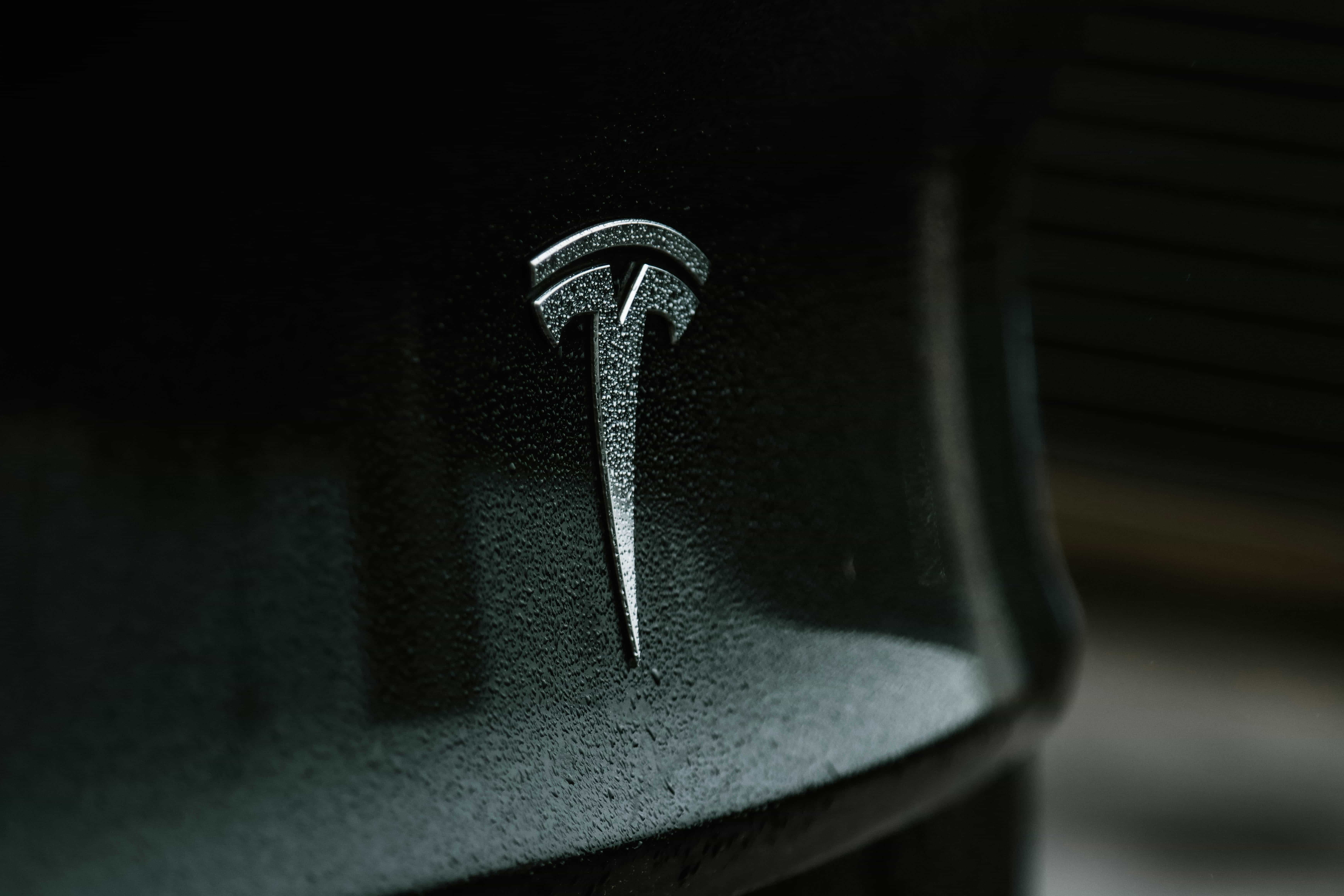 Tesla Motors의 기원, 첫 번째 자동차, Tesla의 얼굴