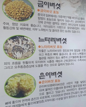 금이버섯효능