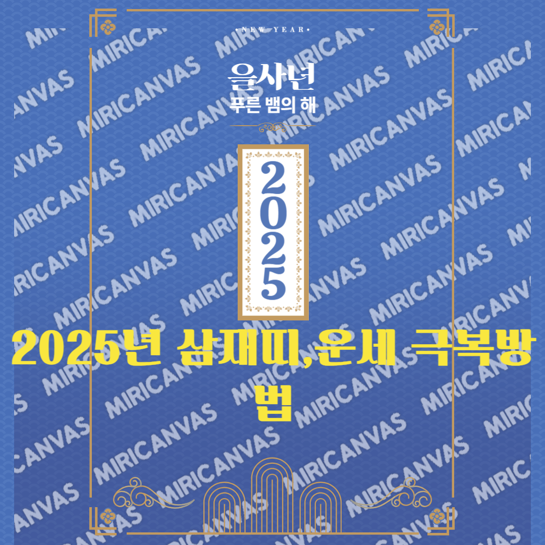 2025년 삼재띠