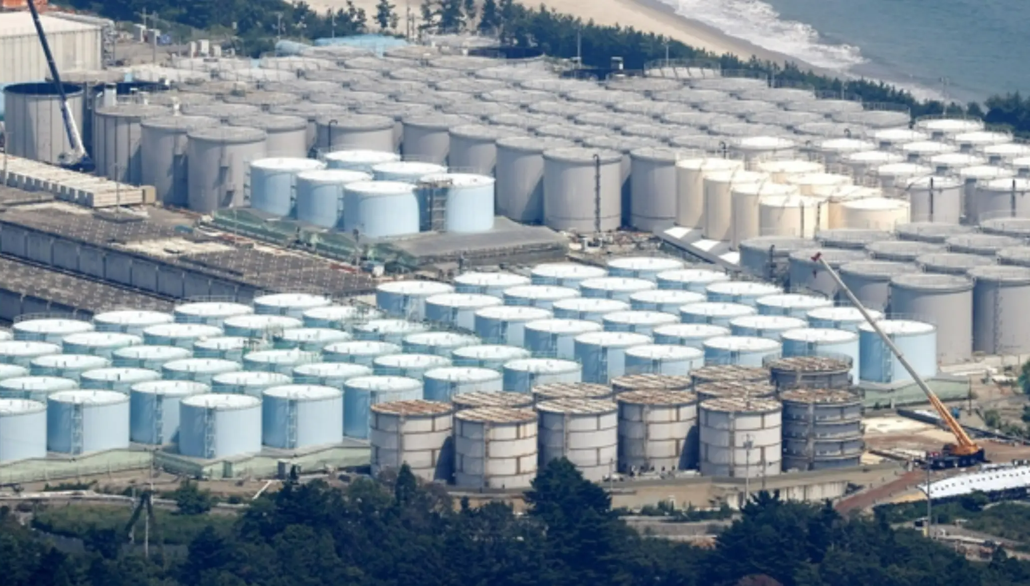 후쿠시마원전 방류 와 우리들의 피해