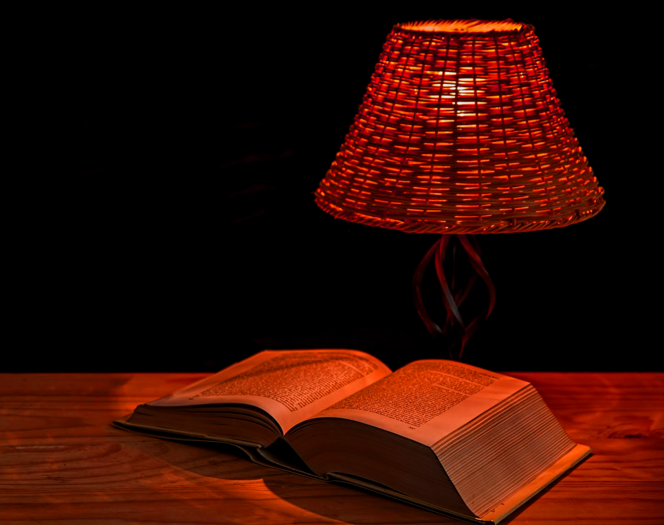 봄의 하인 같은 사위 김유정