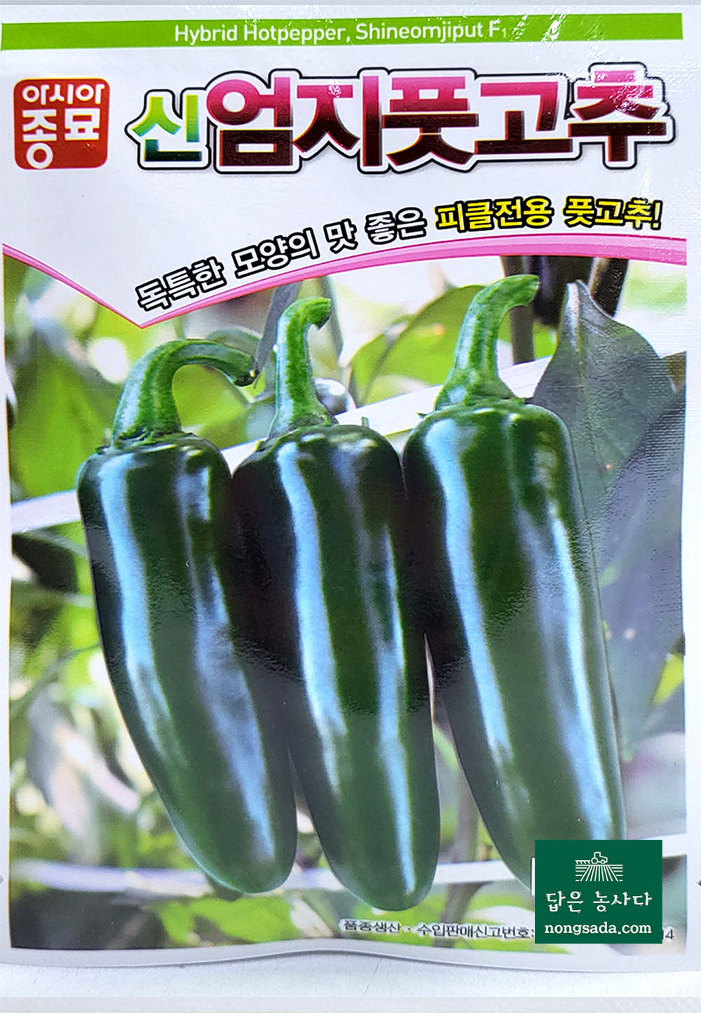 신엄지 풋고추 씨앗종자, 피클전용 풋고추!