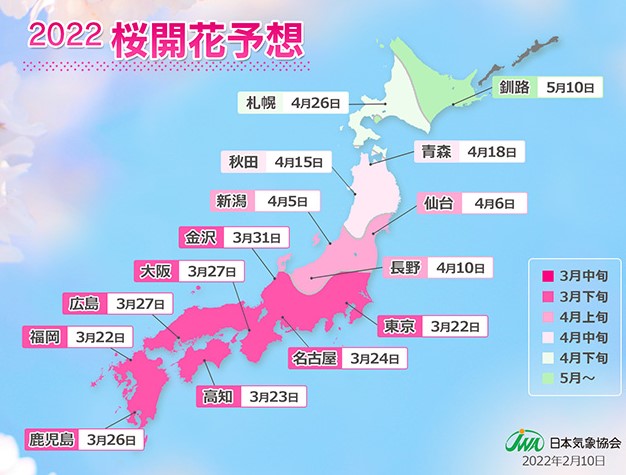 일본 벚꽃 개화 지도 2022년도 별로 벚꽃의 개화 시기를 알려주고 있다.