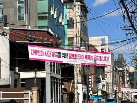 할로위 홍대 축제 금지 현수막