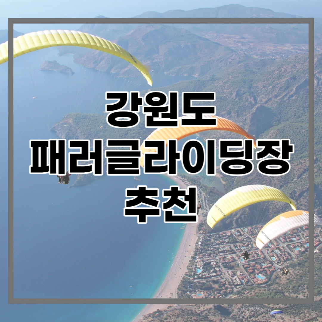  강원도 패러글라이딩장 추천, 후기. 패러글라이딩은 여기서!