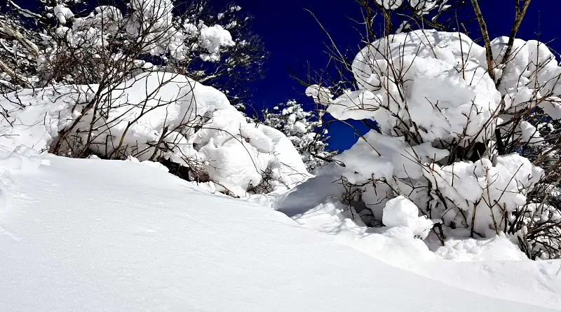 지리산 설경 상고대