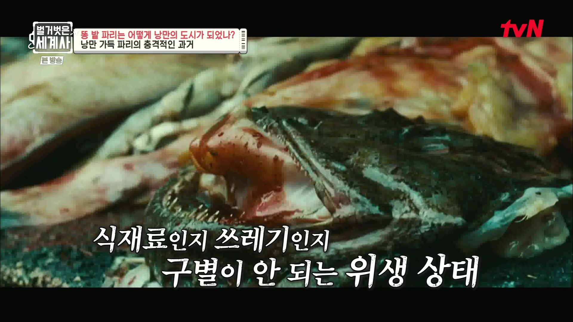 벌거벗은 세계사.E96.230425p.H264-F1RST.mp4_20231125_173328.717.jpg