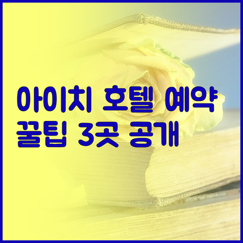 일본 아이치 현 호텔 예약 꿀팁 공개