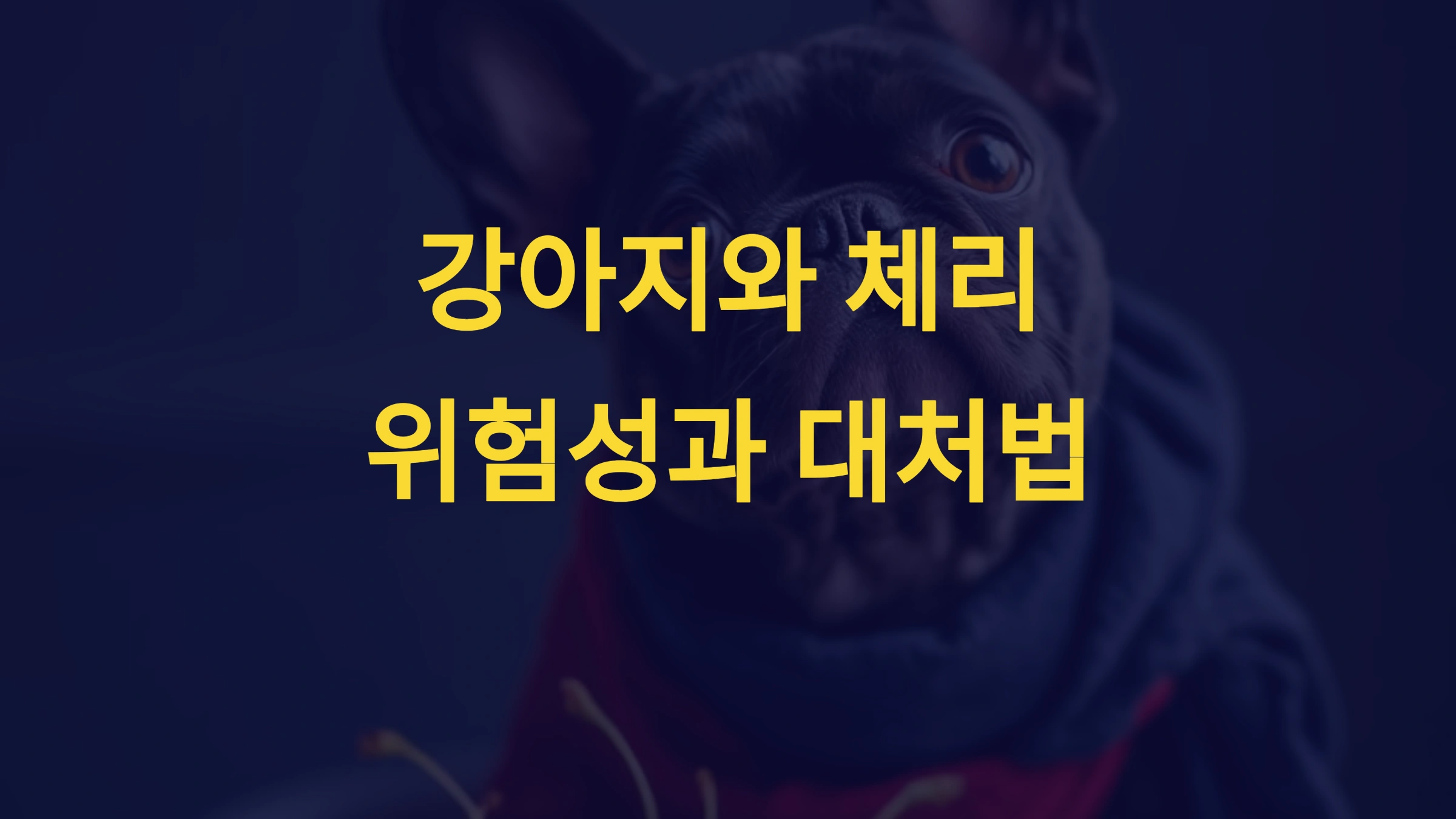 강아지가 체리를 먹으면 위험한 증상