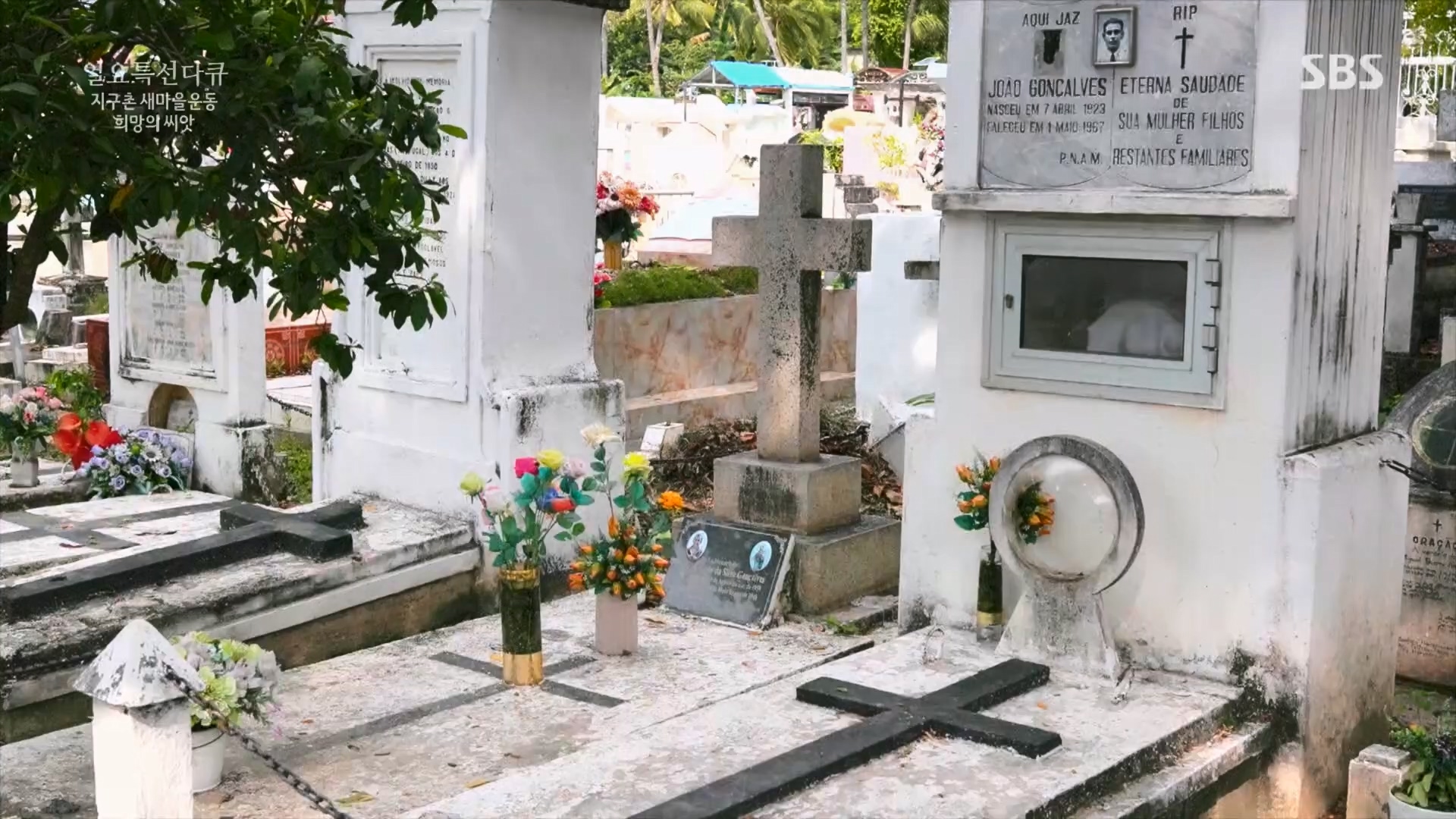 일요 특선 다큐멘터리.E347.240519p.H264-F1RST.mp4_20240519_173912.914.jpg