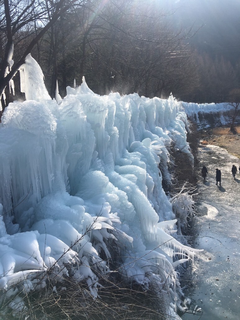  상소동 산림욕장 (2022. 1. 8.)