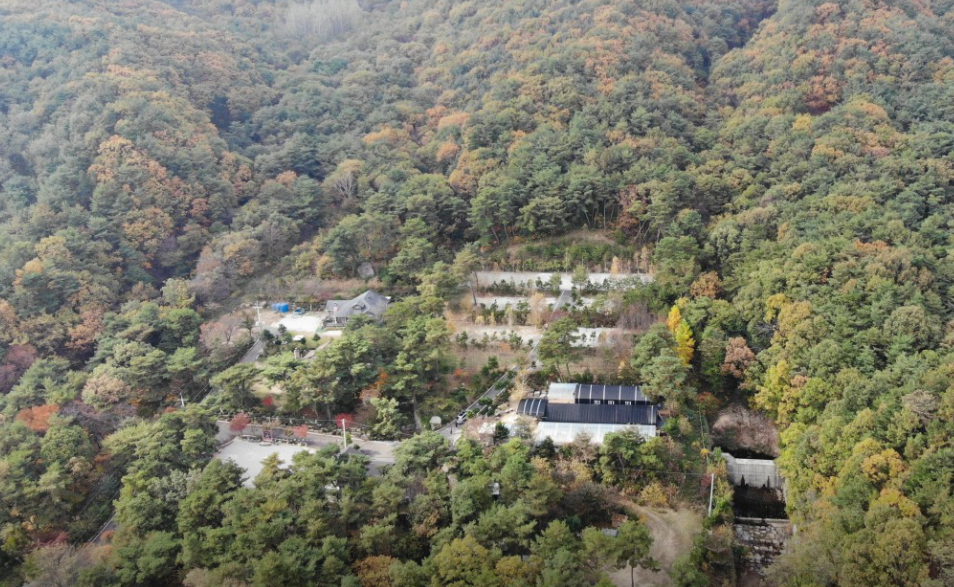 명봉산 솔밭 관광농원 오토 캠핑장