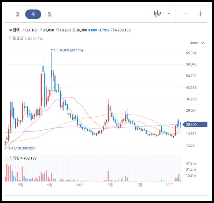 수젠텍 주봉