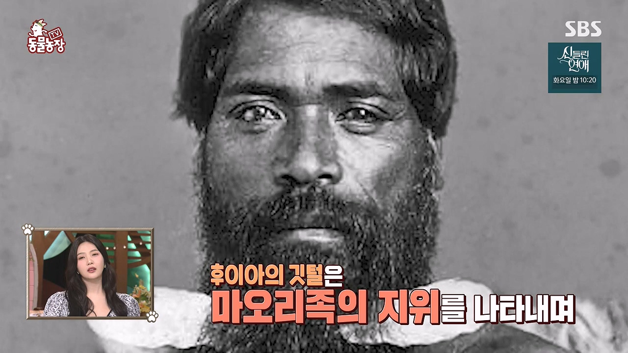 TV 동물농장.E1177.240624p-NEXT.mp4_20240623_163730.591.jpg