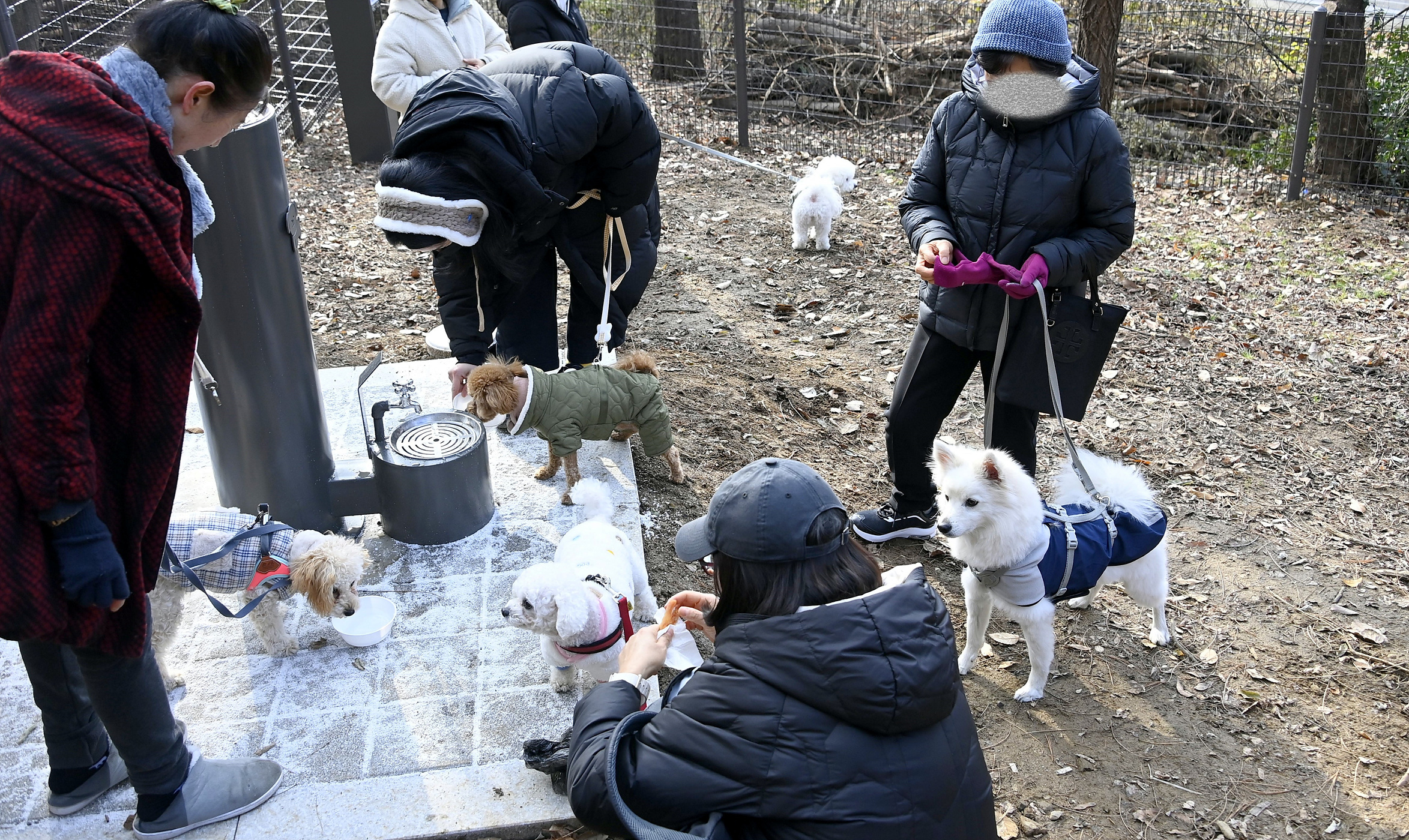 서대문구 연희동 반려견 놀이터