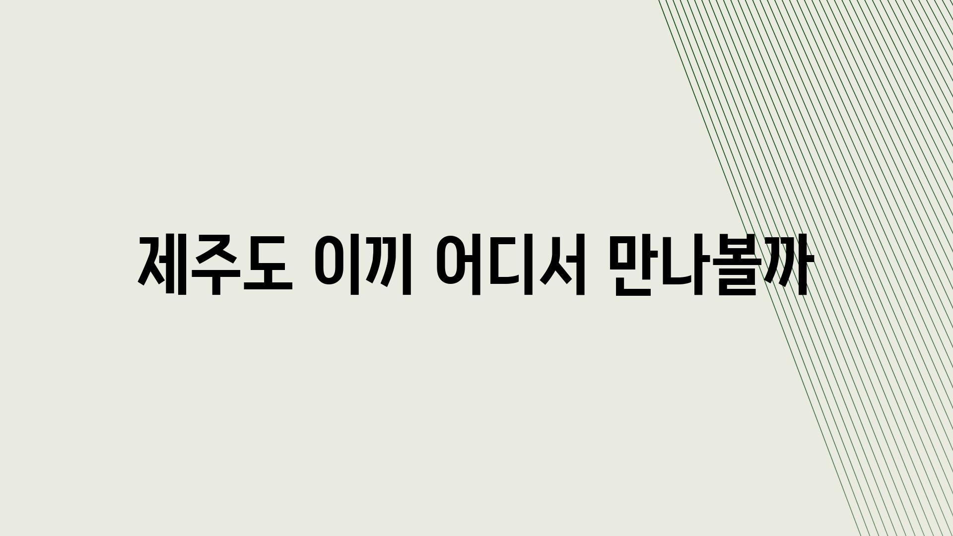 제주도 이끼 어디서 만나볼까