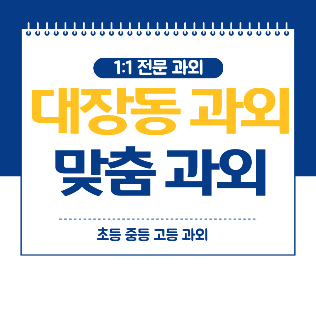  분당 대장동 영수과외 중등 고등 내신대비 일대일 화상 방문과외