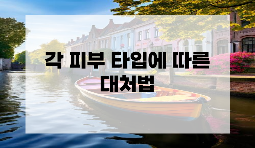 4. 각 피부 타입에 따른 대처법