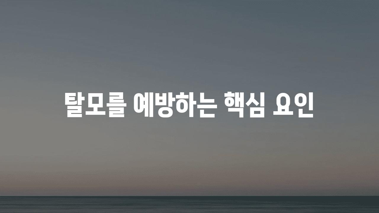 탈모를 예방하는 핵심 요인