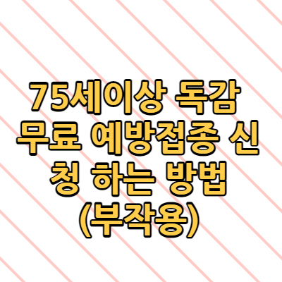  75세이상 독감 무료 예방접종 신청 하는 방법(부작용) 2022년 60세 이상 신청하는 방법 최신 업데이트