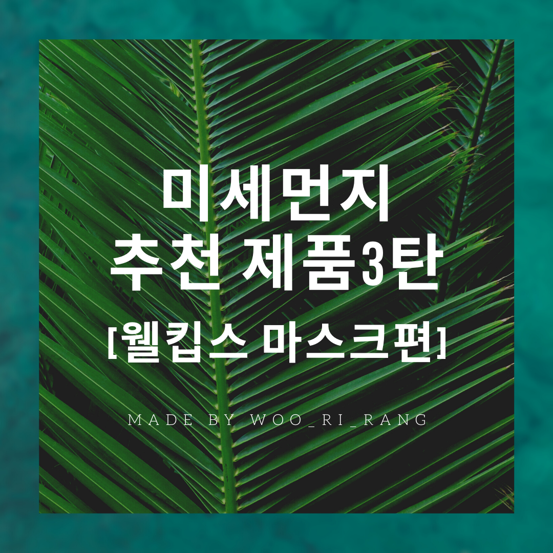 [미세먼지 3탄] 미세먼지 추천제품 / 웰킵스 황사 마스크