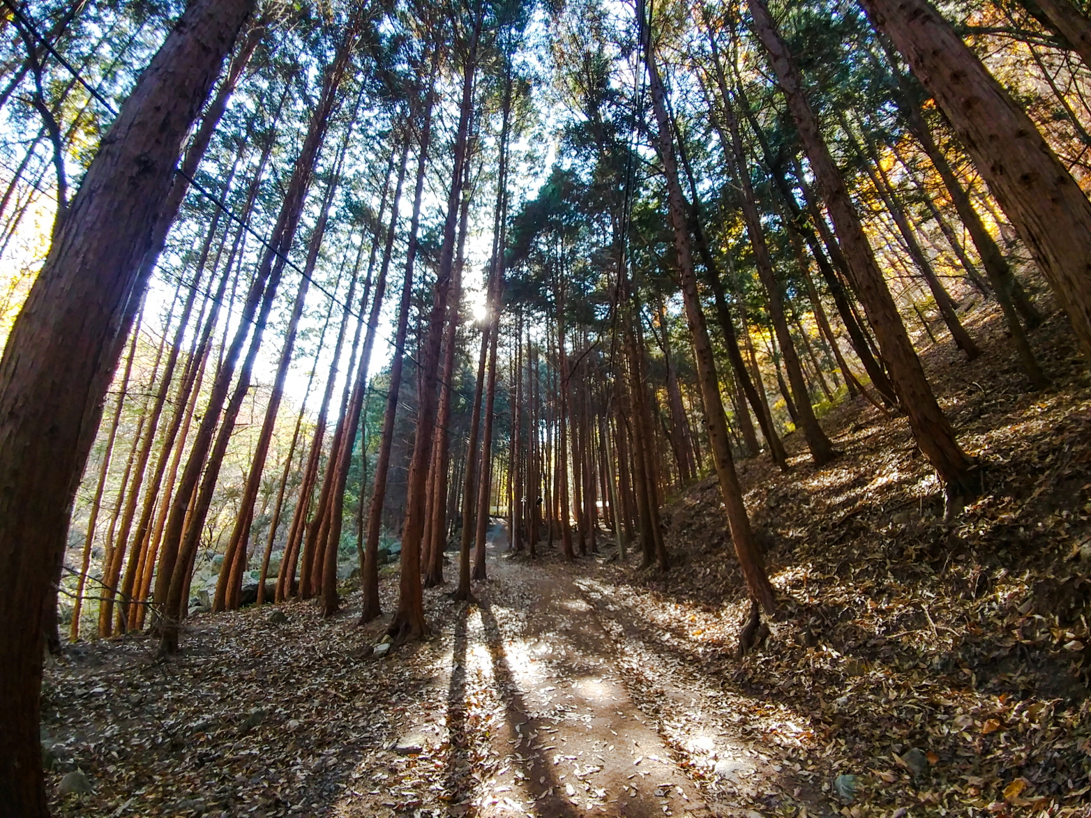 한국 명산 전북 전주 여행 모악산 등산 mountain hiking
