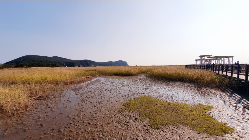 리버