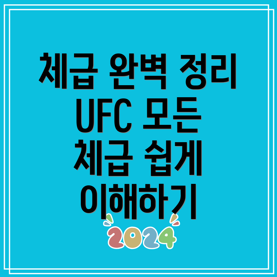 UFC 체급