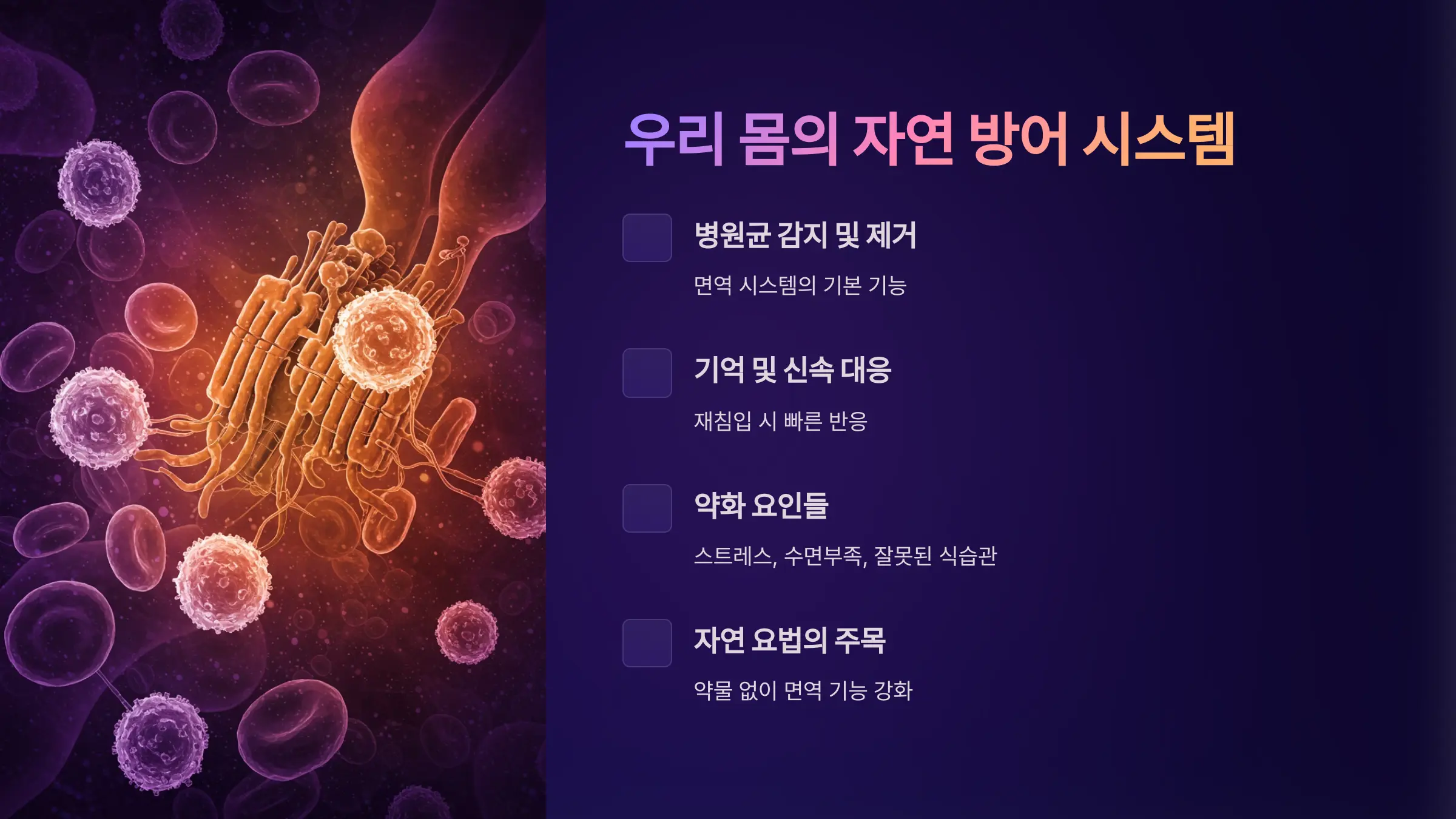 우리 몸의 자연 방어 시스템, 면역력의 비밀