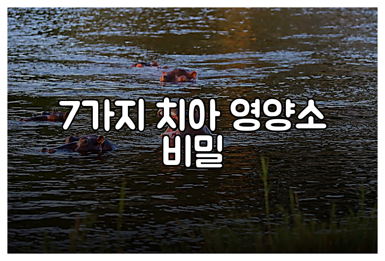 7가지 치아 영양소 비밀