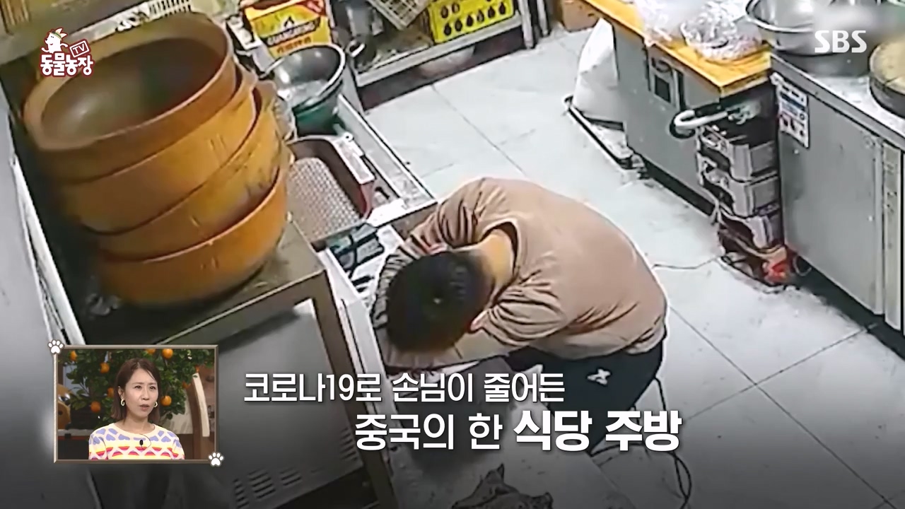 TV 동물농장.E1144.231106p-NEXT.mp4_20231105_175930.266.jpg