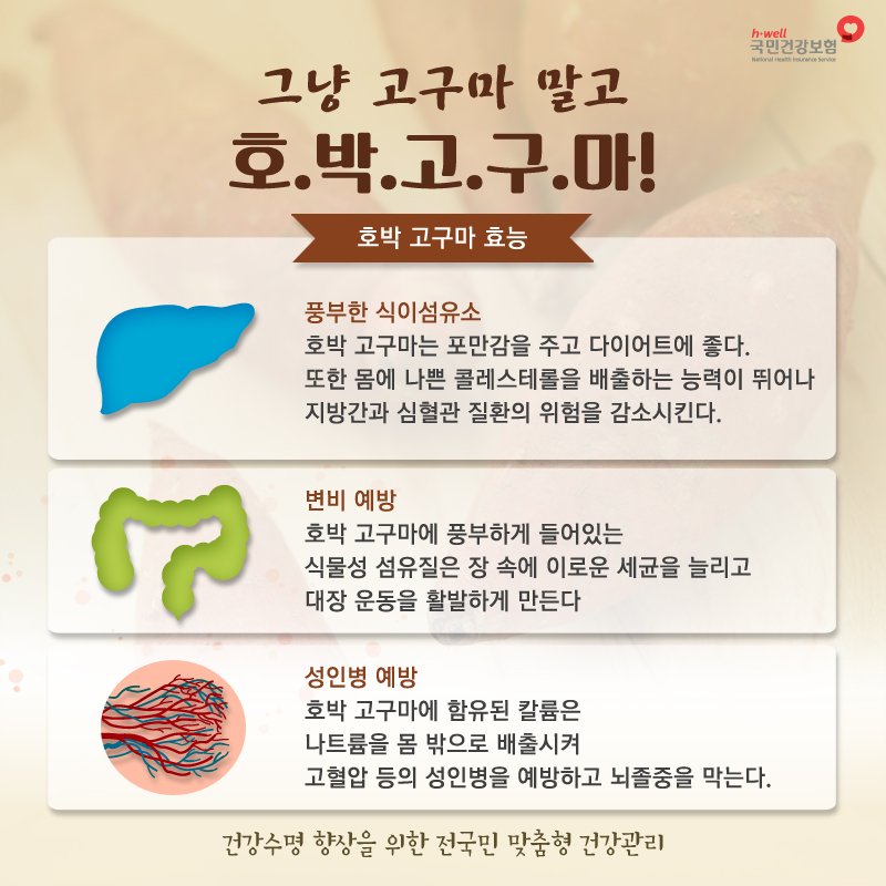 호박고구마 효능과 부작용