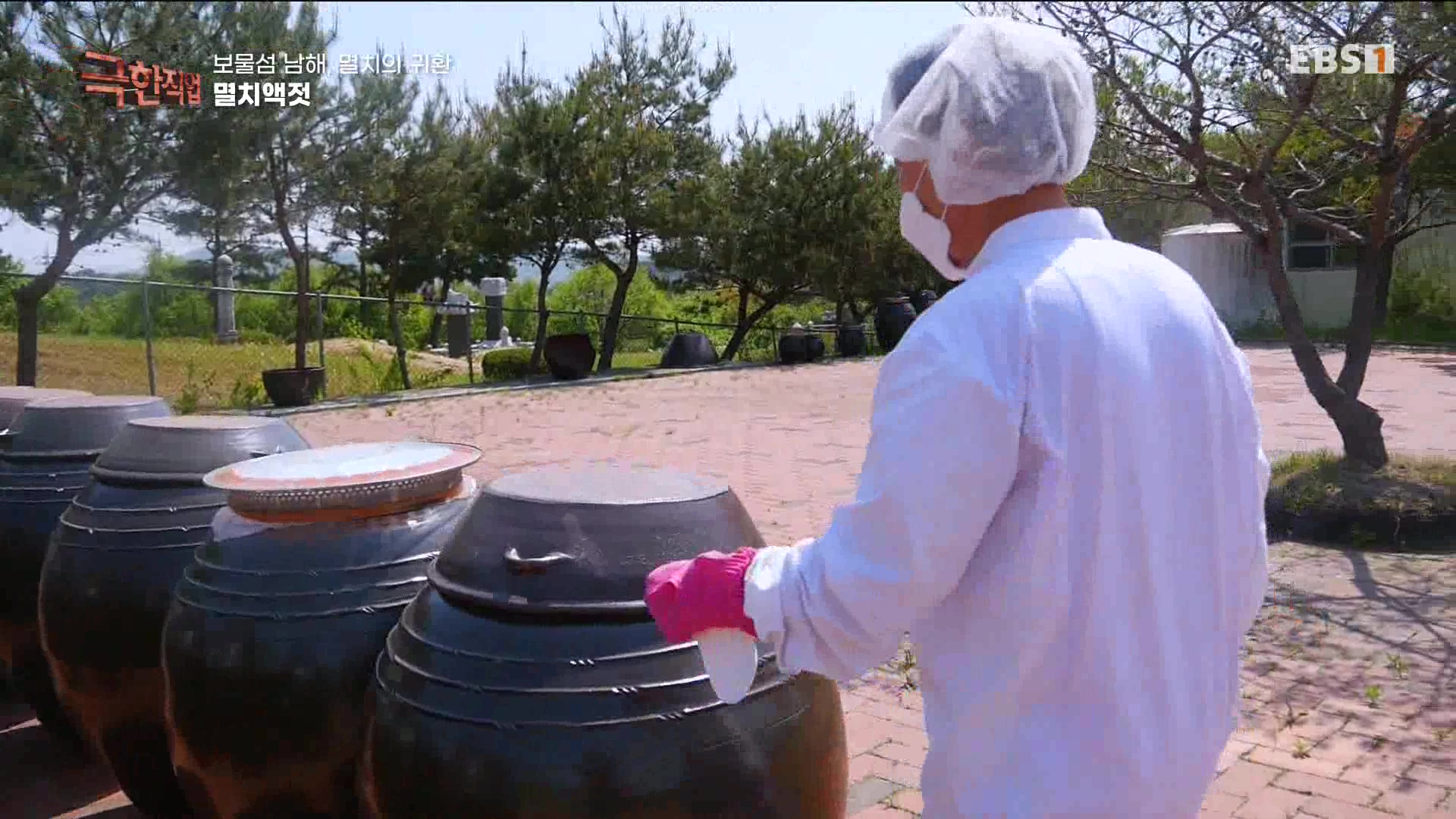 극한 직업 - 보물섬 남해, 멸치의 귀환 1080p.mp4_20230612_202049.361.jpg